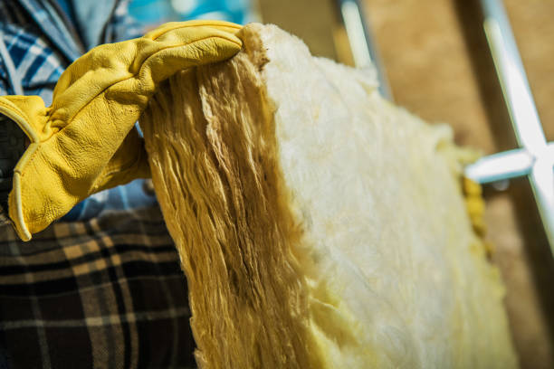 Best Energy-efficient Insulation  in Thompson, ND