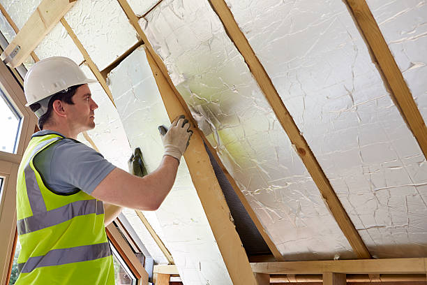 Best Best Insulation Companies  in Thompson, ND